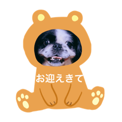 Lineスタンプ ブサかわ の完全一覧 全1000種類