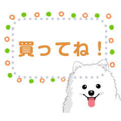 [LINEスタンプ] ポメラニアン(犬)のメッセージ 日本版