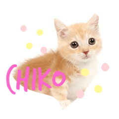chiko stamp vol.1