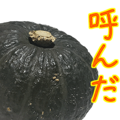 Lineスタンプ かぼちゃ の完全一覧 全731種類