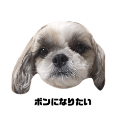 Lineスタンプ たまご の完全一覧 全1000種類