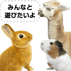 Lineスタンプ ふれあいコーナーの可愛い動物 24種類 250円