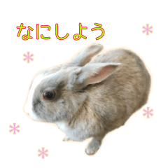 Lineスタンプ かわいいウサギの日常表現 16種類 1円