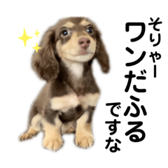 Lineスタンプ 子犬 の完全一覧 全1000種類