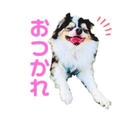 Lineスタンプ ダッ の完全一覧 全1000種類