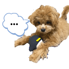 Lineスタンプ マルプー の完全一覧 全670種類