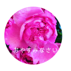 お花でおやすみスタンプ Lineスタンプ Funako