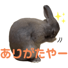 Lineスタンプ フ ラン ス の完全一覧 全1000種類