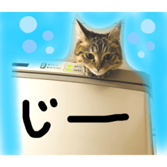 Lineスタンプ にゃ 猫 の完全一覧 全1000種類