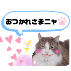 Lineスタンプ アラン君 24種類 1円