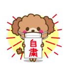 うちで過ごそう♪大人かわいい日常（個別スタンプ：4）