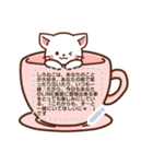 しろねこ♡カスタムメッセージ（個別スタンプ：1）