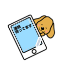わんちゃんのメッセージスタンプ（個別スタンプ：11）