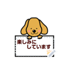 わんちゃんのメッセージスタンプ（個別スタンプ：13）