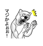 うざくてきもいねこです。（個別スタンプ：12）