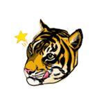 かっこいいリアル虎スタンプ Lineスタンプ じはわかこ