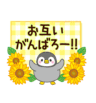 大人かわいい日常【夏に向けて】（個別スタンプ：36）