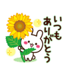 大人かわいい日常【夏に向けて】（個別スタンプ：37）