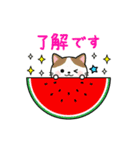 動く♪毎日使える大人かわいいネコ★夏（個別スタンプ：1）