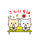 動く♪毎日使える大人かわいいネコ★夏（個別スタンプ：5）