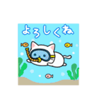 動く♪毎日使える大人かわいいネコ★夏（個別スタンプ：13）