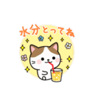 動く♪毎日使える大人かわいいネコ★夏（個別スタンプ：16）