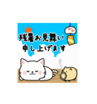 動く♪毎日使える大人かわいいネコ★夏（個別スタンプ：20）