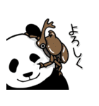 やる気のないパンダ 夏3（個別スタンプ：9）