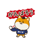 金曜ドラマ「MIU404」（個別スタンプ：8）