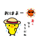 ひよこのぴよちゃんの夏（個別スタンプ：1）