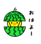 ひよこのぴよちゃんの夏（個別スタンプ：3）