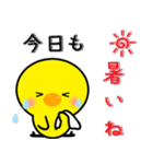 ひよこのぴよちゃんの夏（個別スタンプ：5）