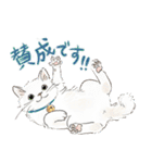 敬語で伝える猫たちのスタンプ（個別スタンプ：2）