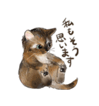 敬語で伝える猫たちのスタンプ（個別スタンプ：6）