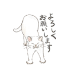 敬語で伝える猫たちのスタンプ（個別スタンプ：7）