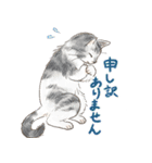 敬語で伝える猫たちのスタンプ（個別スタンプ：8）