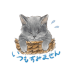 敬語で伝える猫たちのスタンプ（個別スタンプ：9）