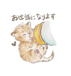敬語で伝える猫たちのスタンプ（個別スタンプ：11）