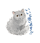 敬語で伝える猫たちのスタンプ（個別スタンプ：13）