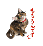 敬語で伝える猫たちのスタンプ（個別スタンプ：14）