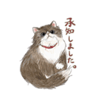 敬語で伝える猫たちのスタンプ（個別スタンプ：16）