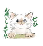 敬語で伝える猫たちのスタンプ（個別スタンプ：17）