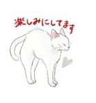 敬語で伝える猫たちのスタンプ（個別スタンプ：18）