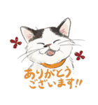 敬語で伝える猫たちのスタンプ（個別スタンプ：19）