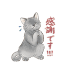敬語で伝える猫たちのスタンプ（個別スタンプ：20）