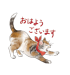 敬語で伝える猫たちのスタンプ（個別スタンプ：27）