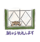 敬語で伝える猫たちのスタンプ（個別スタンプ：28）