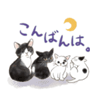 敬語で伝える猫たちのスタンプ（個別スタンプ：29）