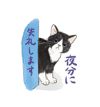 敬語で伝える猫たちのスタンプ（個別スタンプ：30）