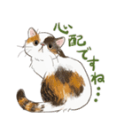 敬語で伝える猫たちのスタンプ（個別スタンプ：32）